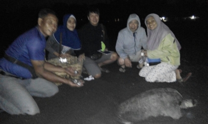 Menemukan Penyu Bertelur di Pantai Boom