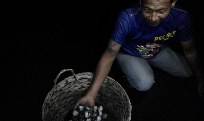 Menemukan Penyu Bertelur di Pantai Boom