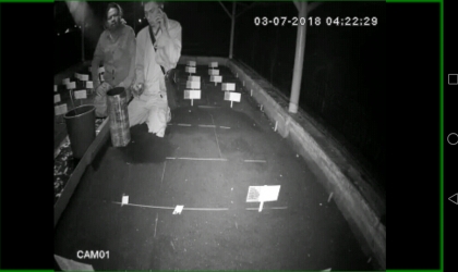 Menemukan Penyu Bertelur di Pantai Santen