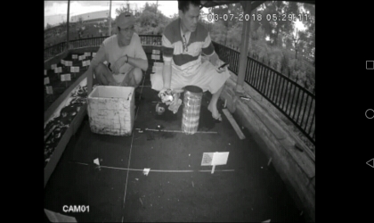 Menemukan Penyu Bertelur di Pantai Santen