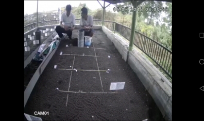 Menemukan Penyu Bertelur di Pantai Sukowidi