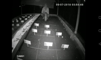 Menemukan Penyu Bertelur di Pantai Santen