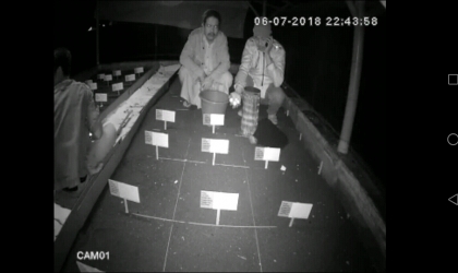 Menemukan Penyu Bertelur di Pantai Santen