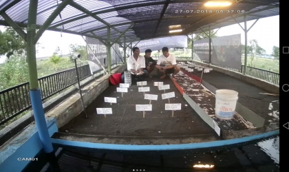 Menemukan Penyu Bertelur di Pantai Sobo