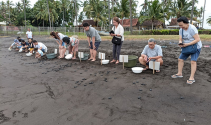 Pelepasliaran Tukik Bersama keluarga Sanjaya 