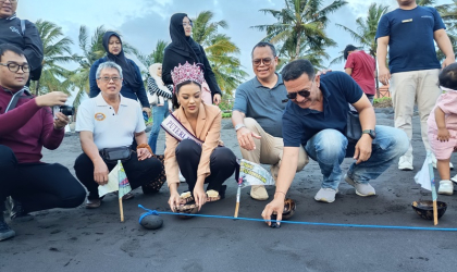 Pelepasliaran Tukik Bersama Putri Indonesia 2025 Firsta Yufi Amarta Putri 