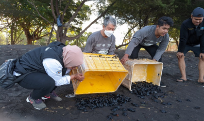 Pelepasliaran Tukik Bersama Telkom Indonesia