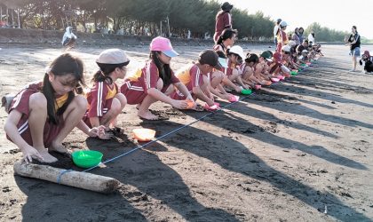 Pelepasliaran Tukik Bersama Siswa Siswi SD Mitra Harapan 