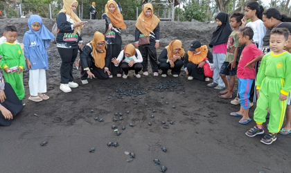 Pelepasliaran Tukik Bersama Siswa Siswi TK Aisyah 1 Banyuwangi 