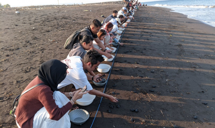 Pelepasliaran Tukik Bersama Mahasiswa Warga Negara Asing