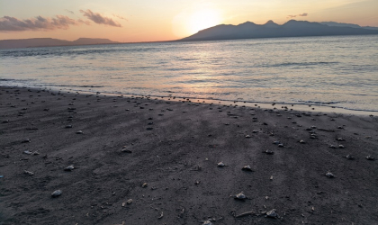 Pelepasliaran Tukik Bersama Indofood