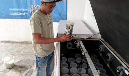 Menemukan Penyu Bertelur di Pantai Sobo