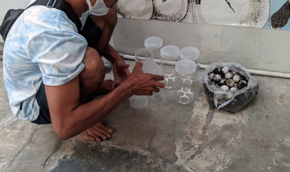 Menemukan Penyu Bertelur di Pantai Kramat