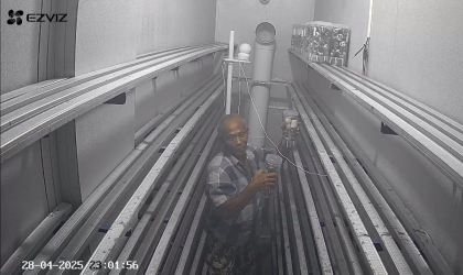 Menemukan Penyu Bertelur di Pantai Mirah