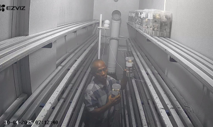 Menemukan Penyu Bertelur di Pantai Mirah