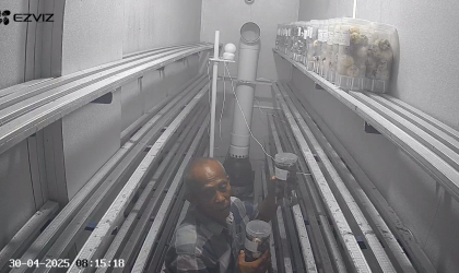 Menemukan Penyu Bertelur di Pantai Boom